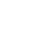 Ebay shop icon